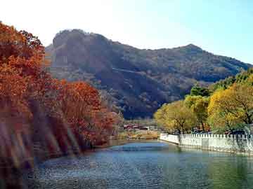 新澳门期期准精准，佛山至山东物流